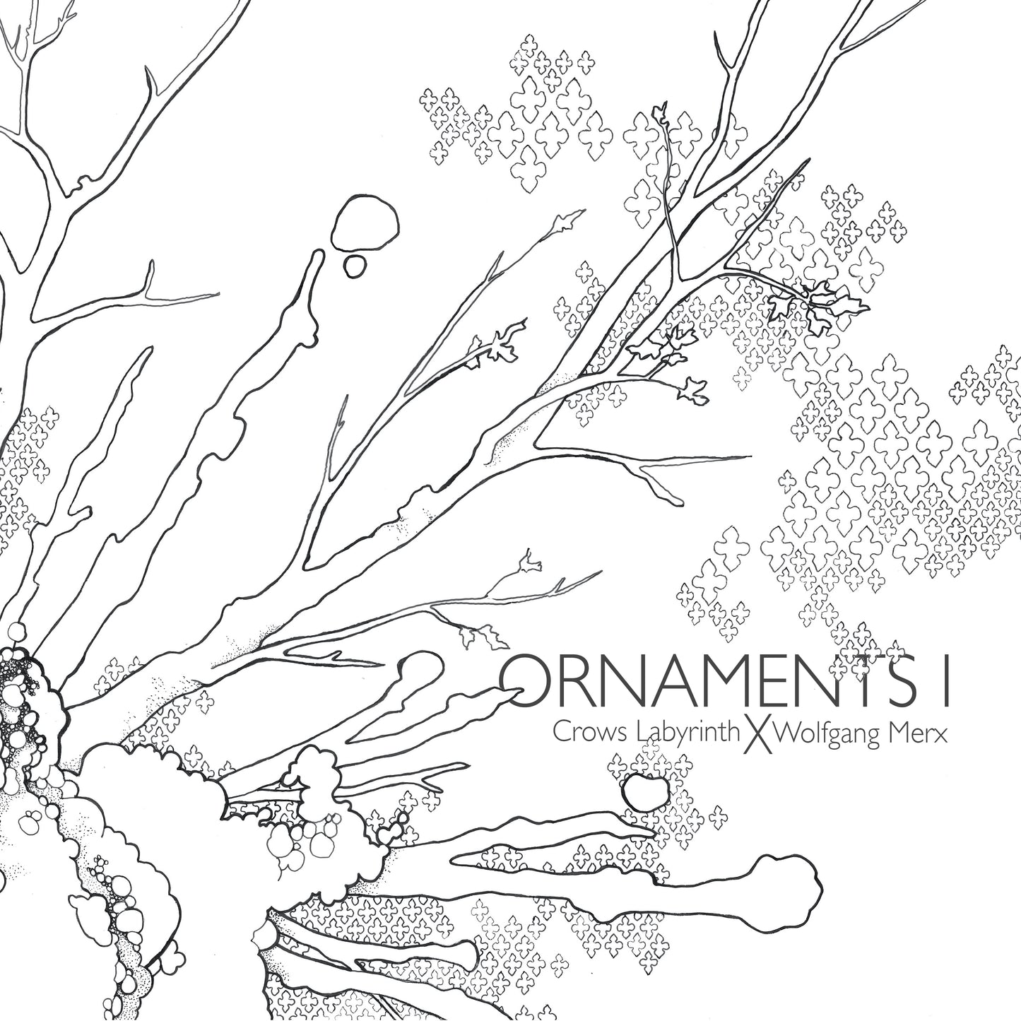 Ornaments I / Crows Labyrinth & Wolfgang Merx